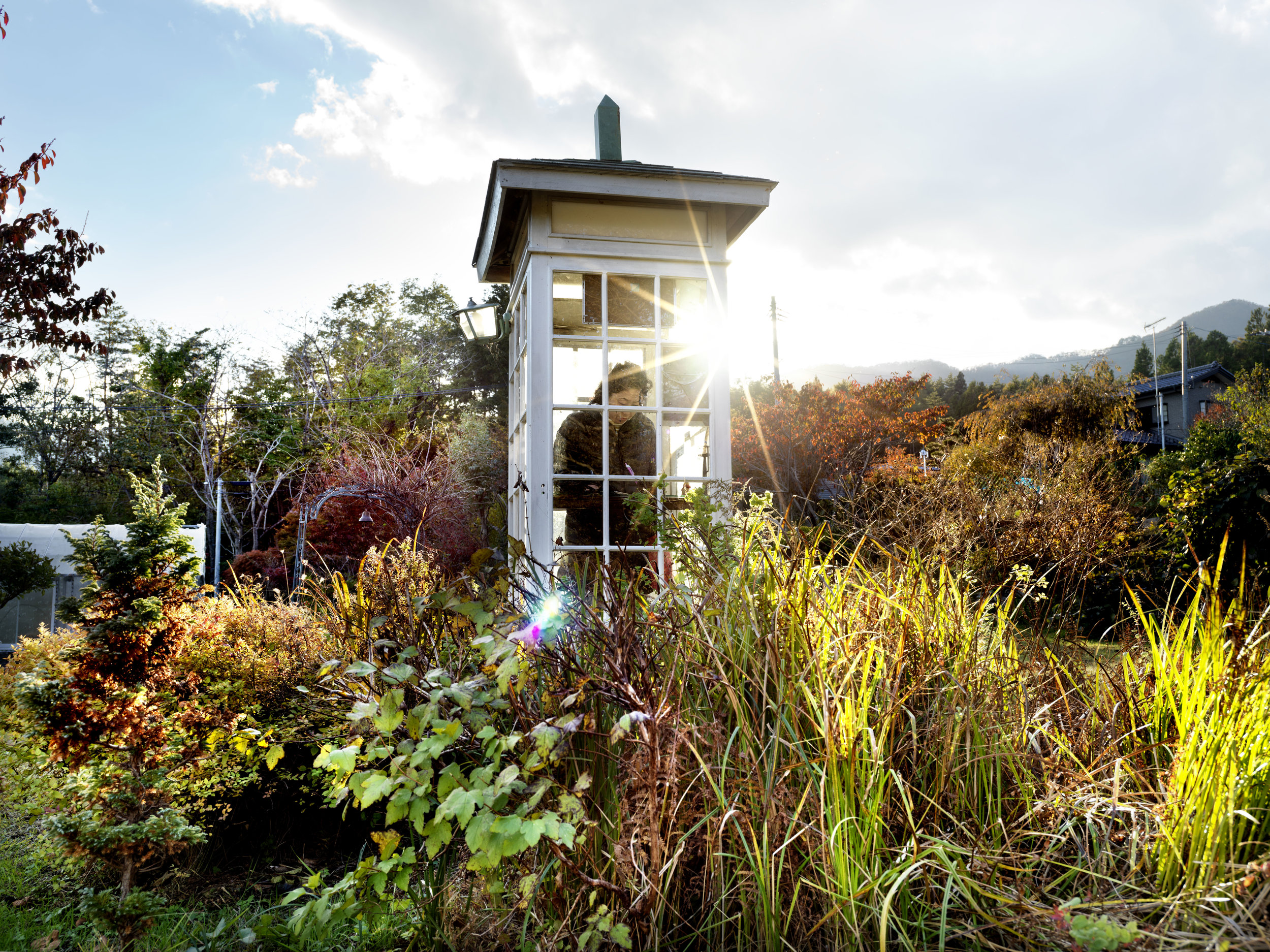 japonların yalnızlığa karşı