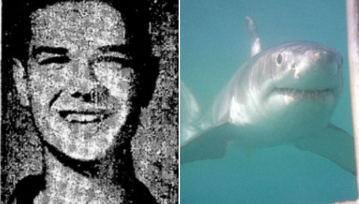 en kötü köpek balığı saldırıları