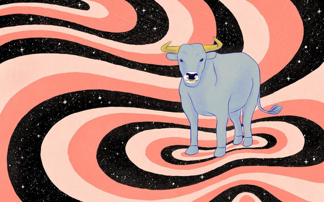 9-15 Şubat haftalık burç yorumları 