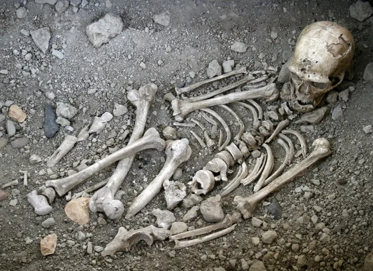 neandertaller