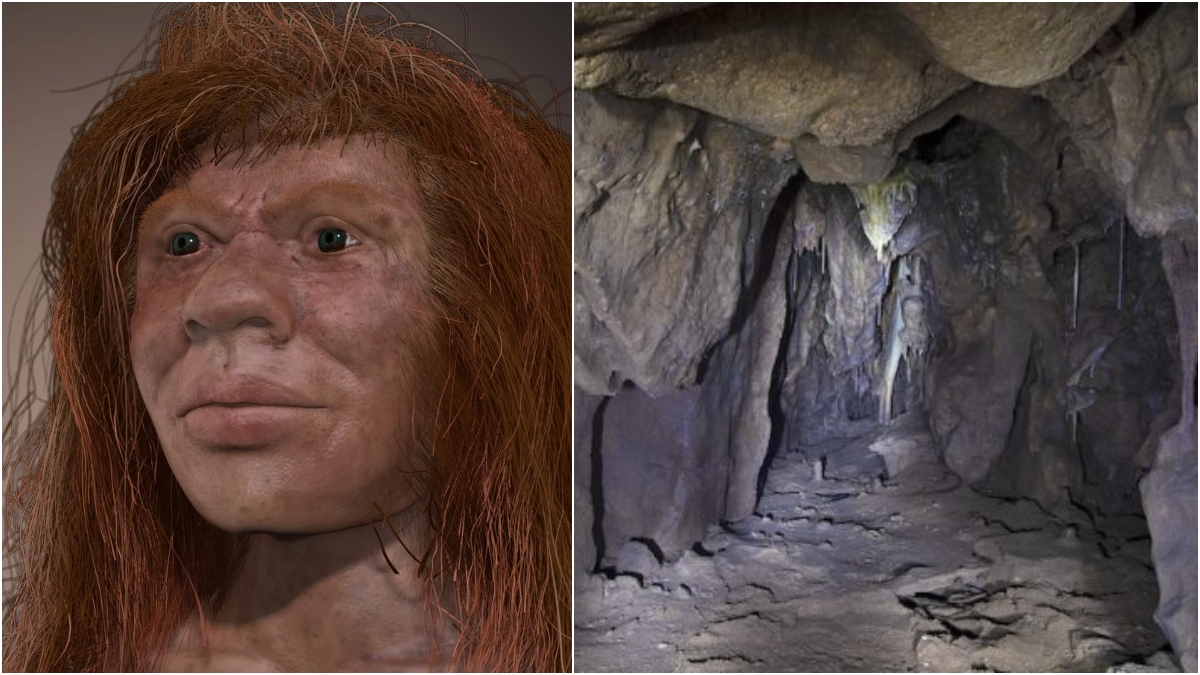 Neandertallerle İlgili Şimdiye Kadar Yapılmış En Önemli 10 Keşif