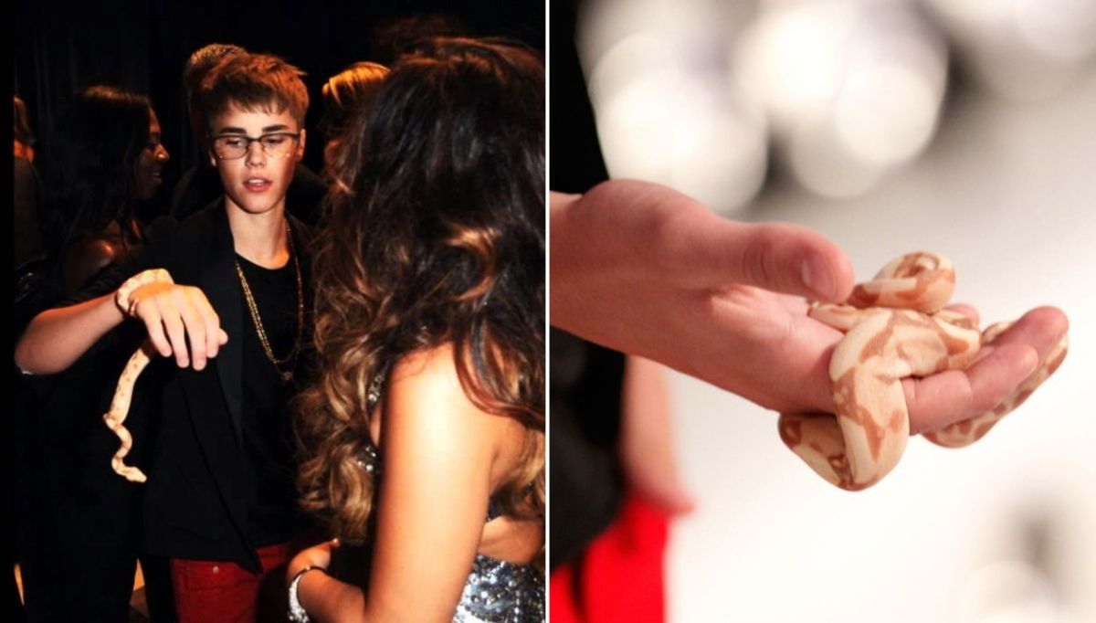 satılan en garip ünlü eşyaları