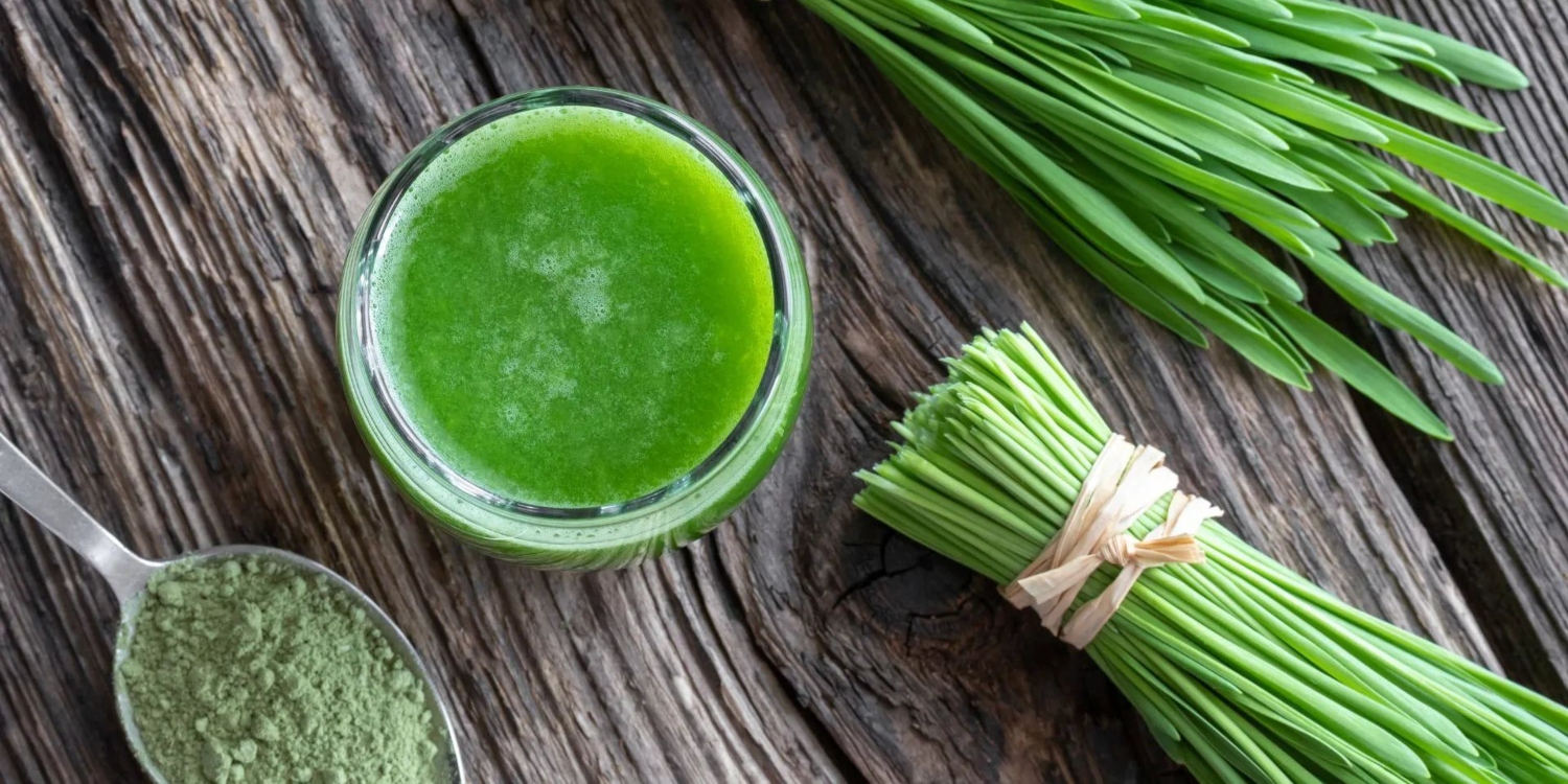 Doğanın En Sade Şifası: Çim Suyu Neden Bu Kadar Popüler?