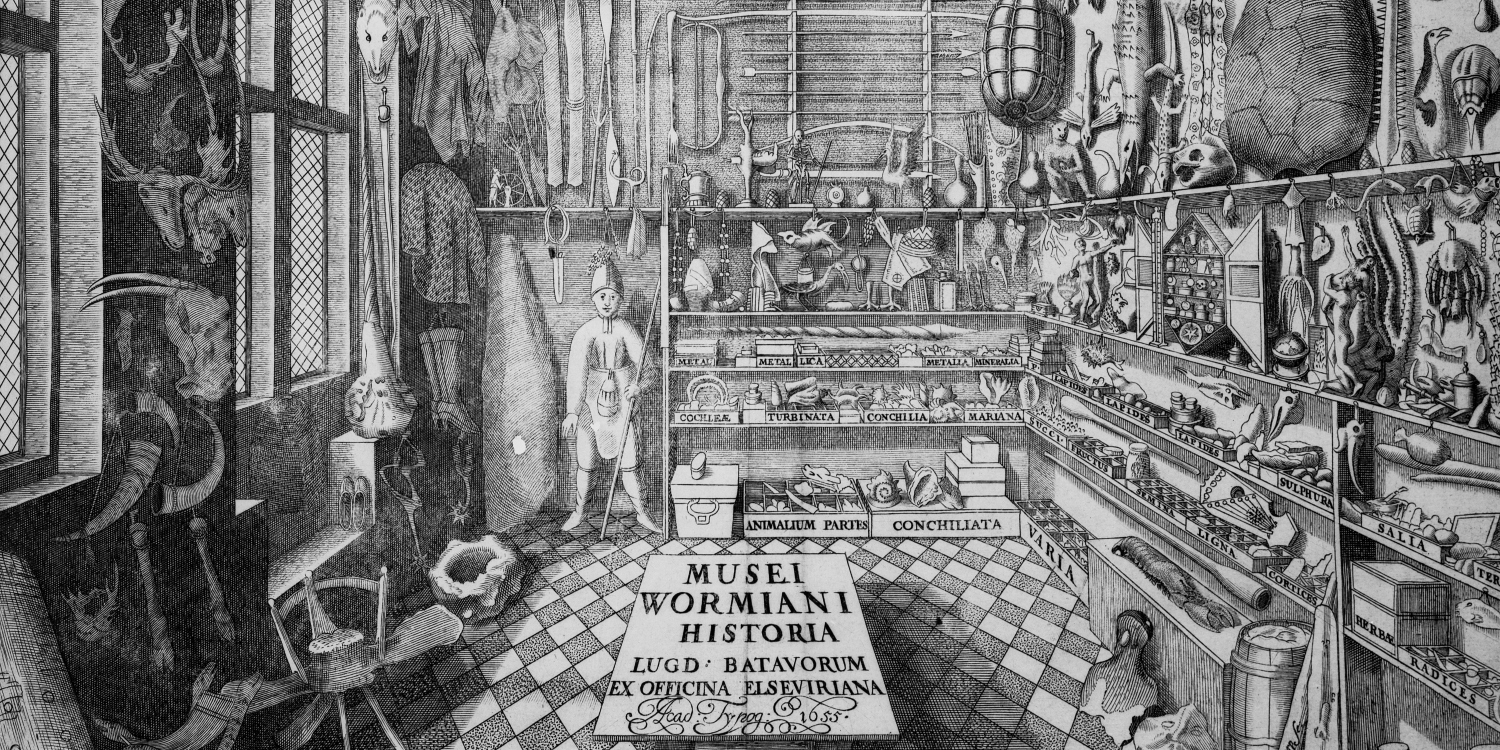 Koleksiyonculuk İlk Ne Zaman Başladı? Koleksiyonculuğun Tarihi