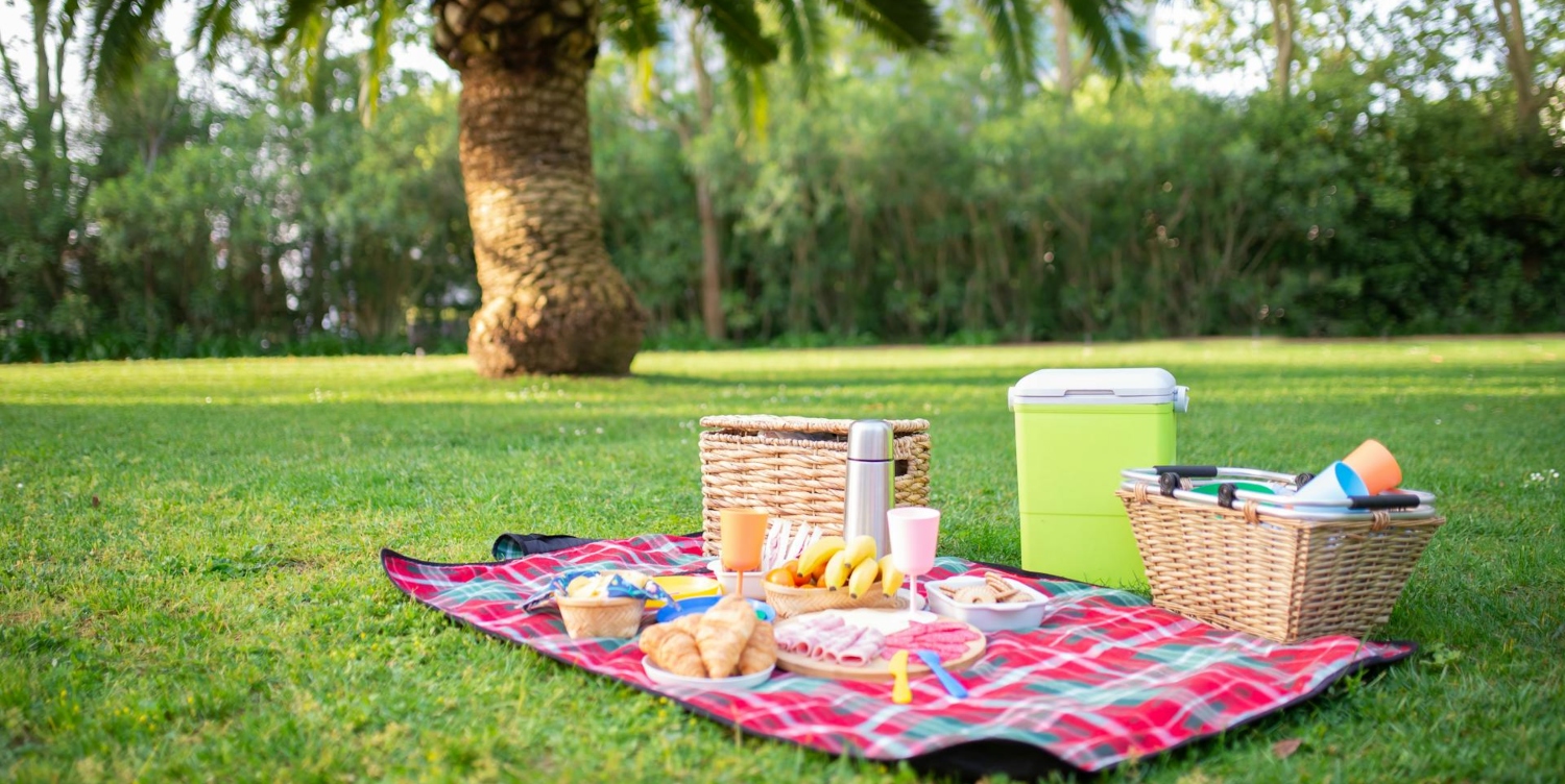 Piknik Keyfini Katlayacak Pratik ve Lezzetli Tarifler