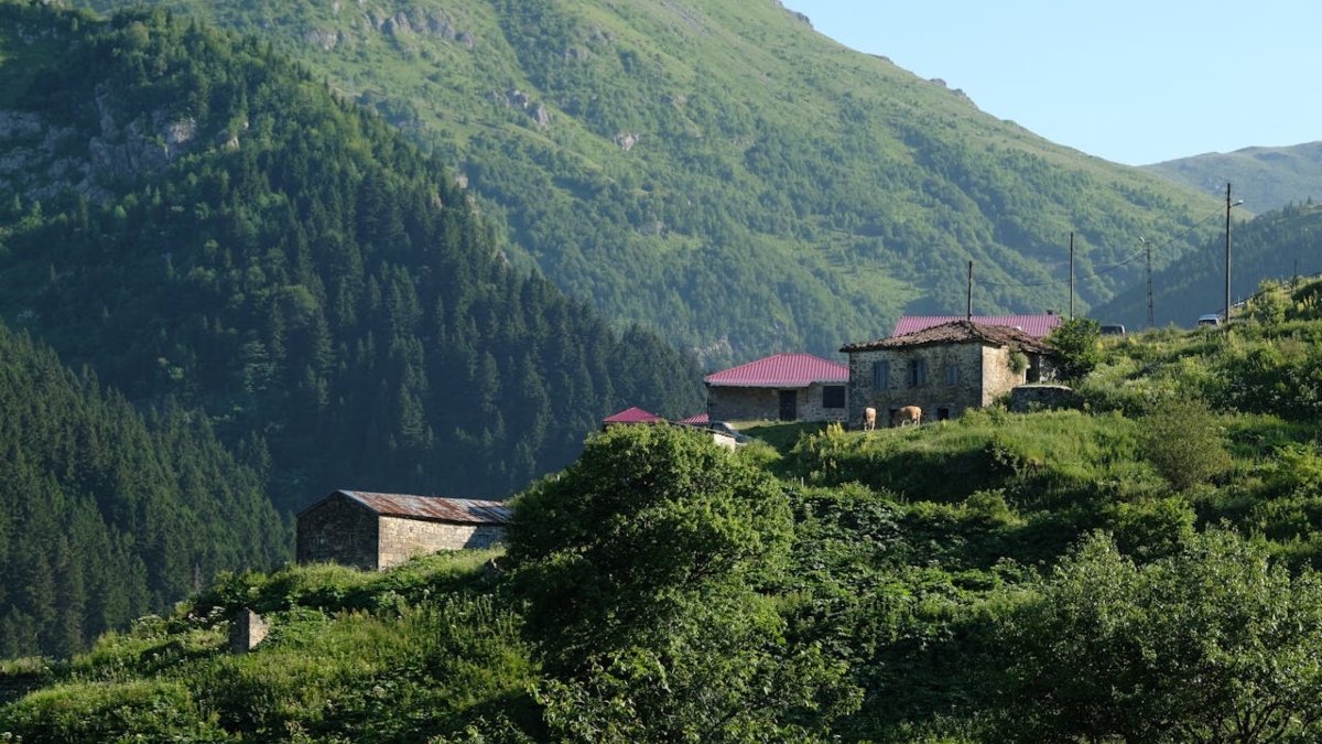 Yayla Tatili Planlama Rehberi: Türkiye’de Yüksek Rakım Seyahat ipuçları