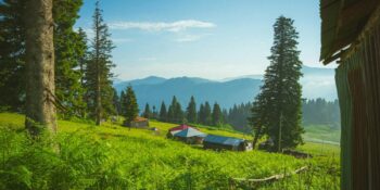 Yayla Tatili Nasıl Planlanır? Türkiye’de Yüksek Rakım Seyahat Rehberi