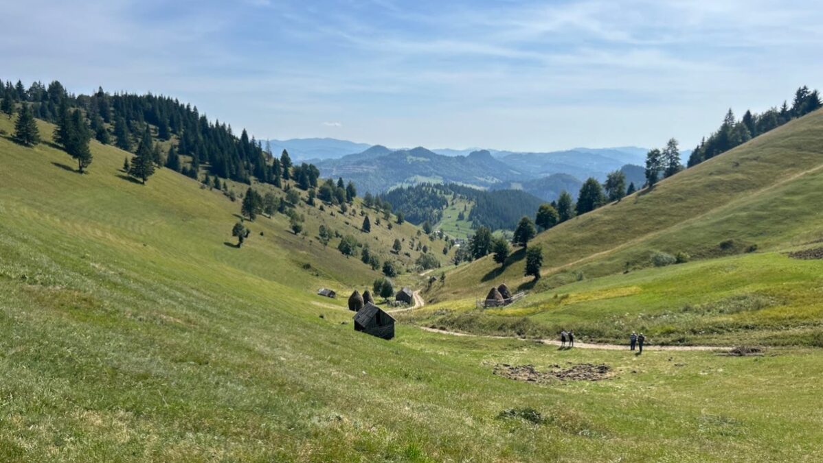 Yayla Tatili Planlama Rehberi: Türkiye’de Yüksek Rakım Seyahat ipuçları