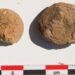 İnka İmparatorluğu’nun 500 Yıllık Patatesleri Bulundu: Tarihin En İlginç Gıda Keşiflerinden Biri